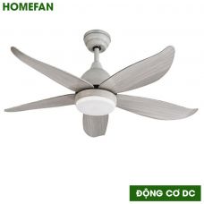 Quạt trần đèn trang trí HomeFan HL-Fan661