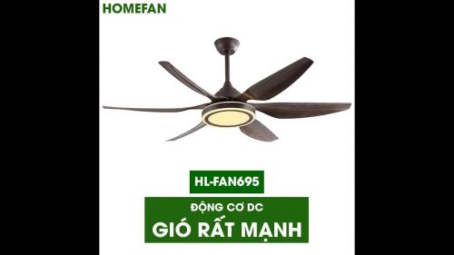 Quạt trần đèn trang trí HomeFan HL-Fan695