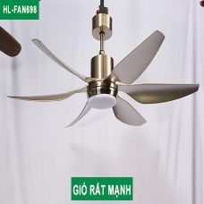 Quạt trần trang trí HomeFan HL-Fan698