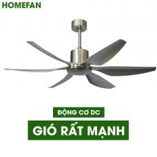 Quạt trần trang trí HomeFan HL-Fan698K