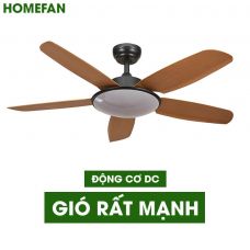 Quạt trần đèn trang trí HomeFan HL-Fan699V