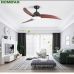 Quạt trần đèn trang trí HomeFan HL-Fan810